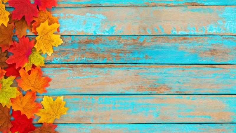 Leaves & Boards